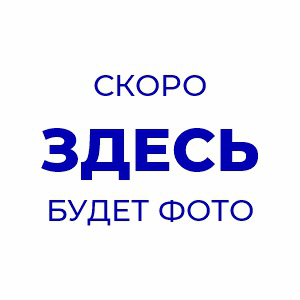 Тапочки "вьетнамки" пенопропилен, 5 мм, шампань, 20 пар/упк